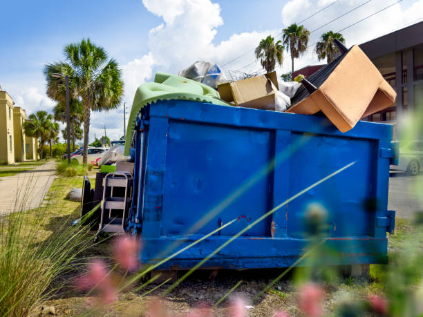 Professional Junk Removal  in Belmar, NJ